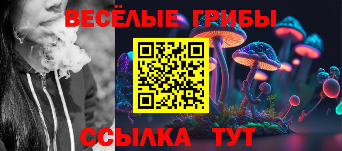 Псилоцибиновые грибы Psilocybe Берёзовский