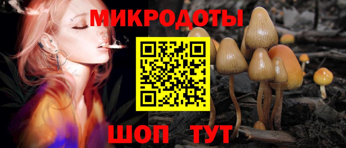 Берёзовский  Псилоцибиновые грибы ЛСД  как найти наркотики  Вход с VPN  Псилоцибиновые грибы Psilocybe 