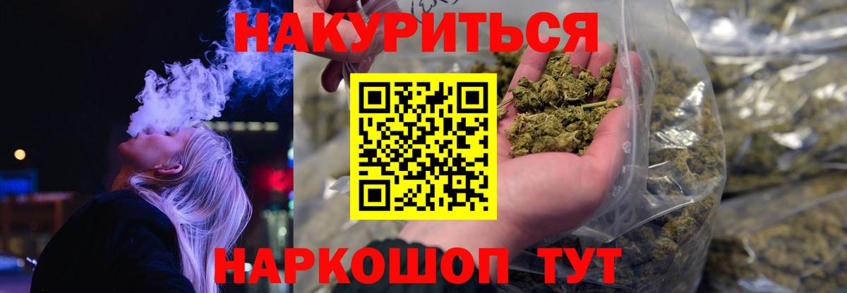 Конопля планчик Берёзовский